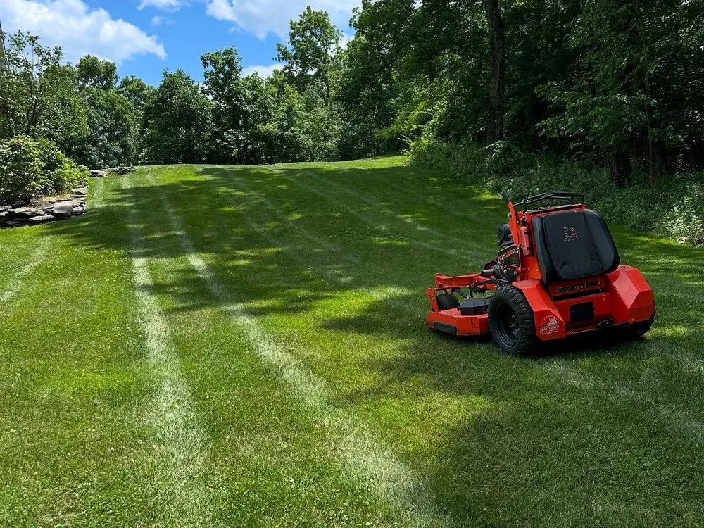 Expert yard cleanup service for outdoor upgrades in Princeton, WV by B4 Land Management