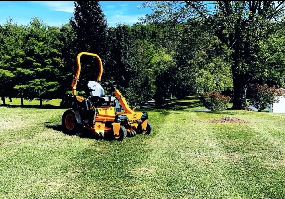 Trusted yard cleanup service in Princeton, WV - B4 Land Management