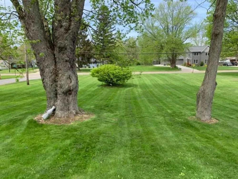 Custom yard cleanup service for outdoor upgrades in Garfield Heights, OH by BA Cleanouts