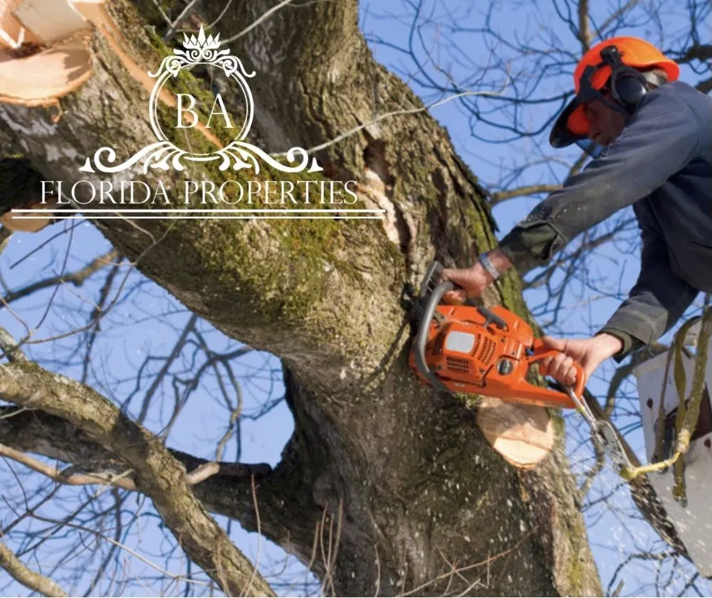 Affordable residential landscaping with custom design across Doral, FL - BA Florida Properties