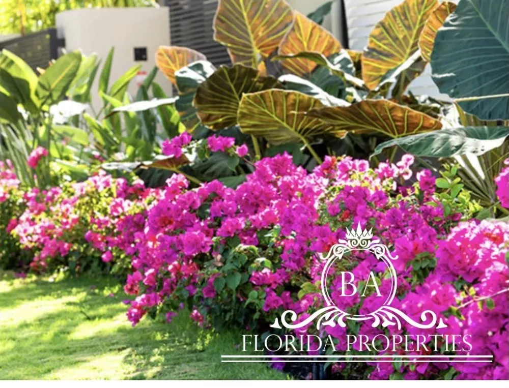 Local yard maintenance for year-round maintenance in Doral, FL by BA Florida Properties