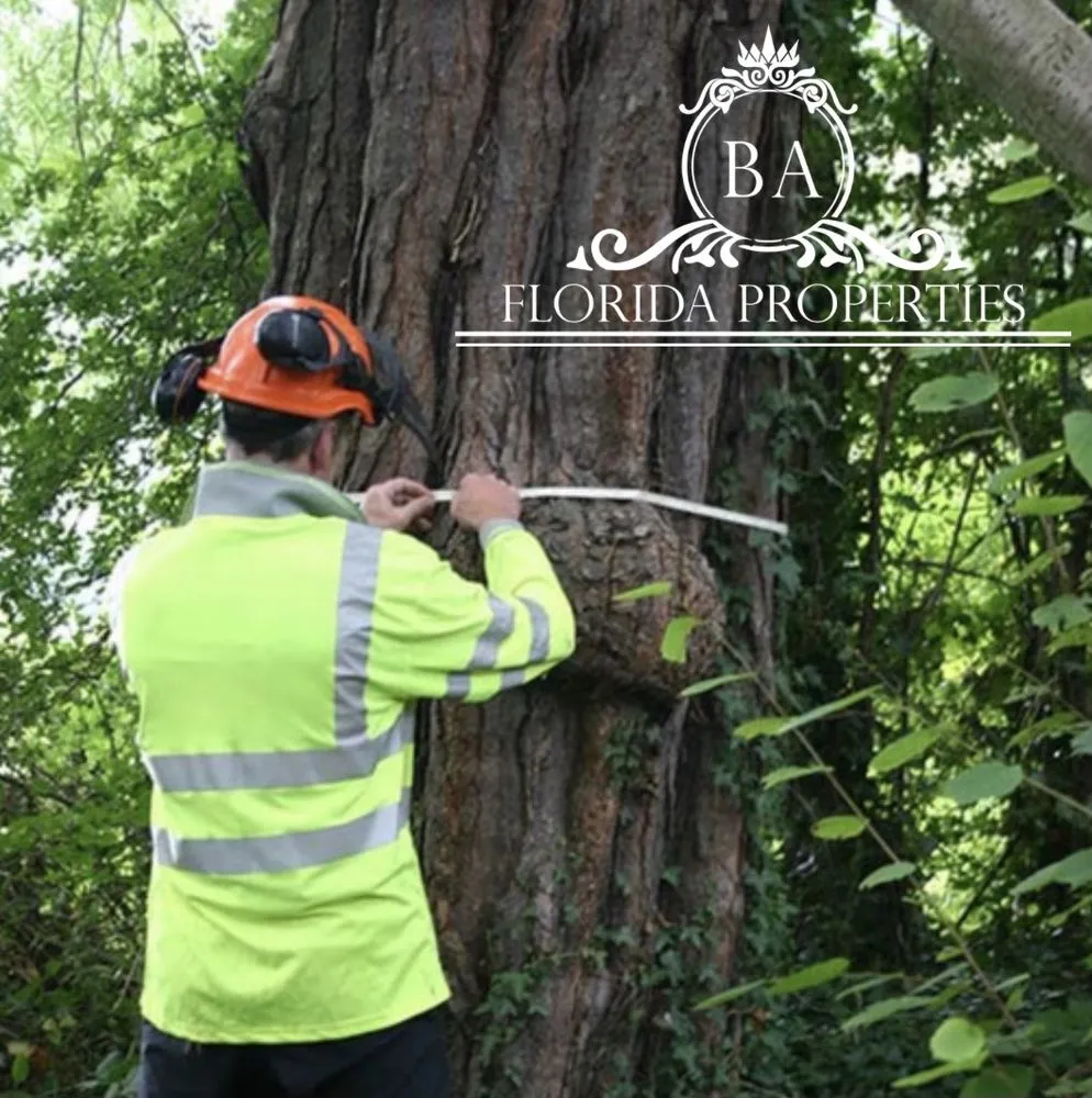 Affordable residential landscaping in Doral, FL - BA Florida Properties