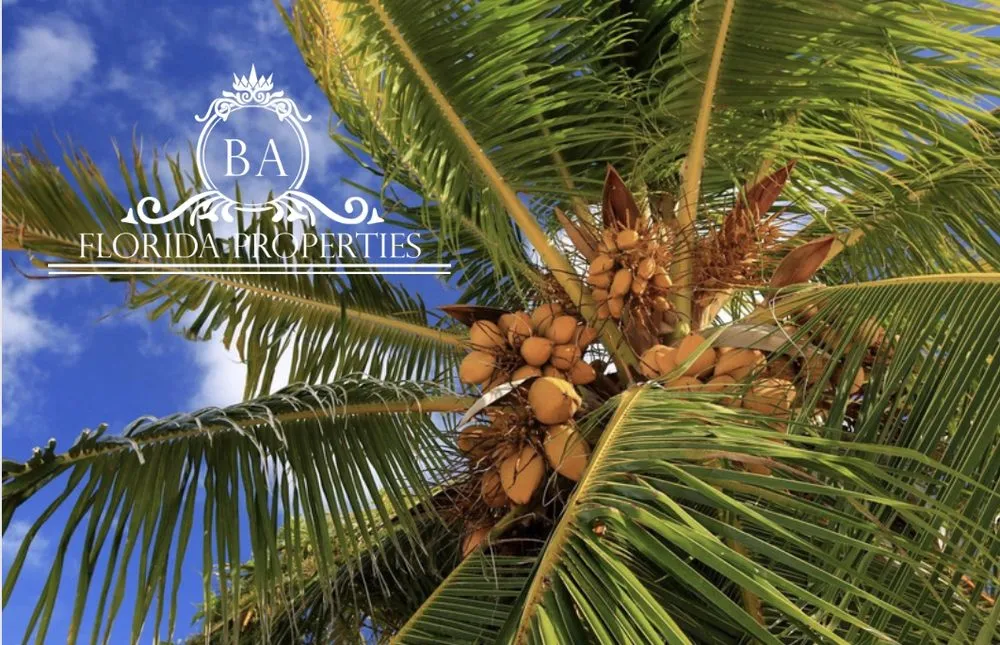 Expert lawn care service near you across Doral, FL - BA Florida Properties