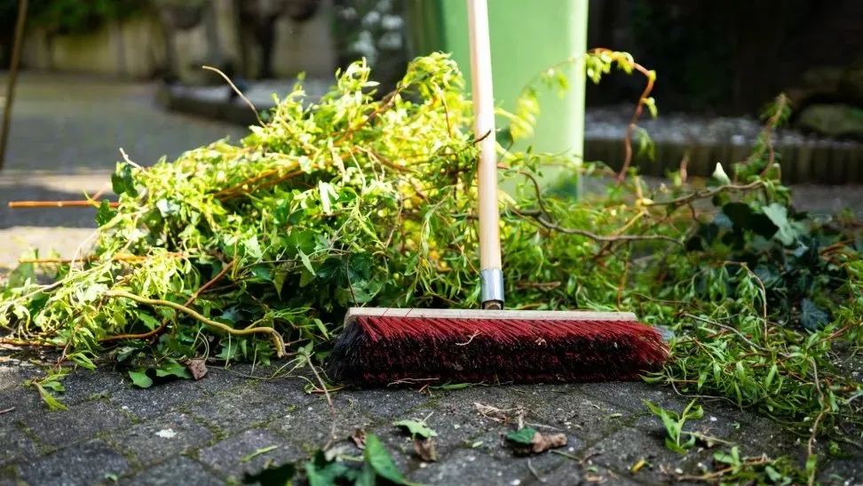 Top-rated yard cleanup service near you across Doral, FL - BA Florida Properties