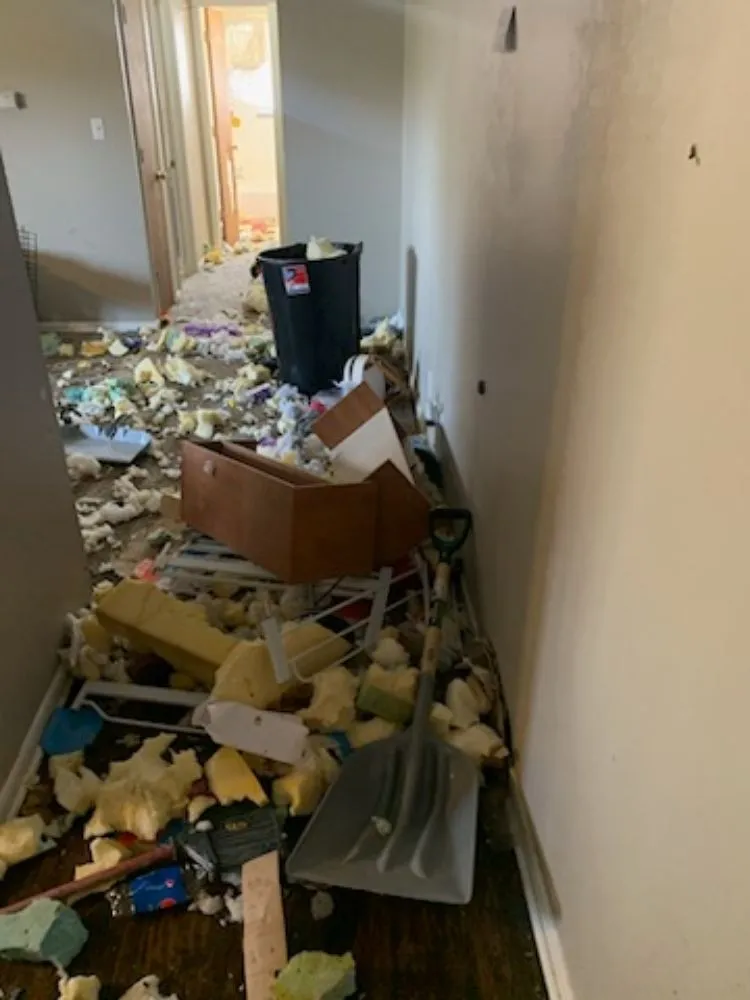 Top-rated landscape design experts serving Des Moines, IA - B&A Hauling & Lawn Care