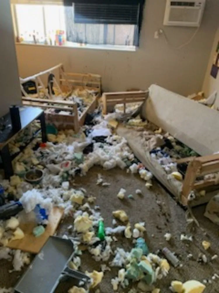 Top-rated landscape design experts serving Des Moines, IA - B&A Hauling & Lawn Care