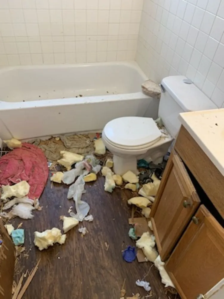 Expert yard maintenance for year-round maintenance in Des Moines, IA by B&A Hauling & Lawn Care