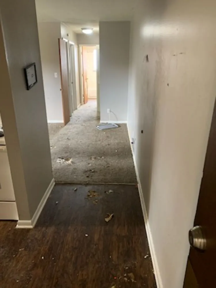 Expert yard cleanup service in Des Moines, IA - B&A Hauling & Lawn Care