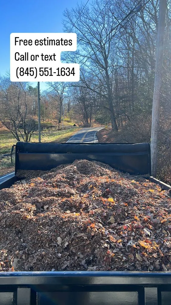 Top-rated yard cleanup service experts serving Chester, NY - BA Landscaping & Lawn Care