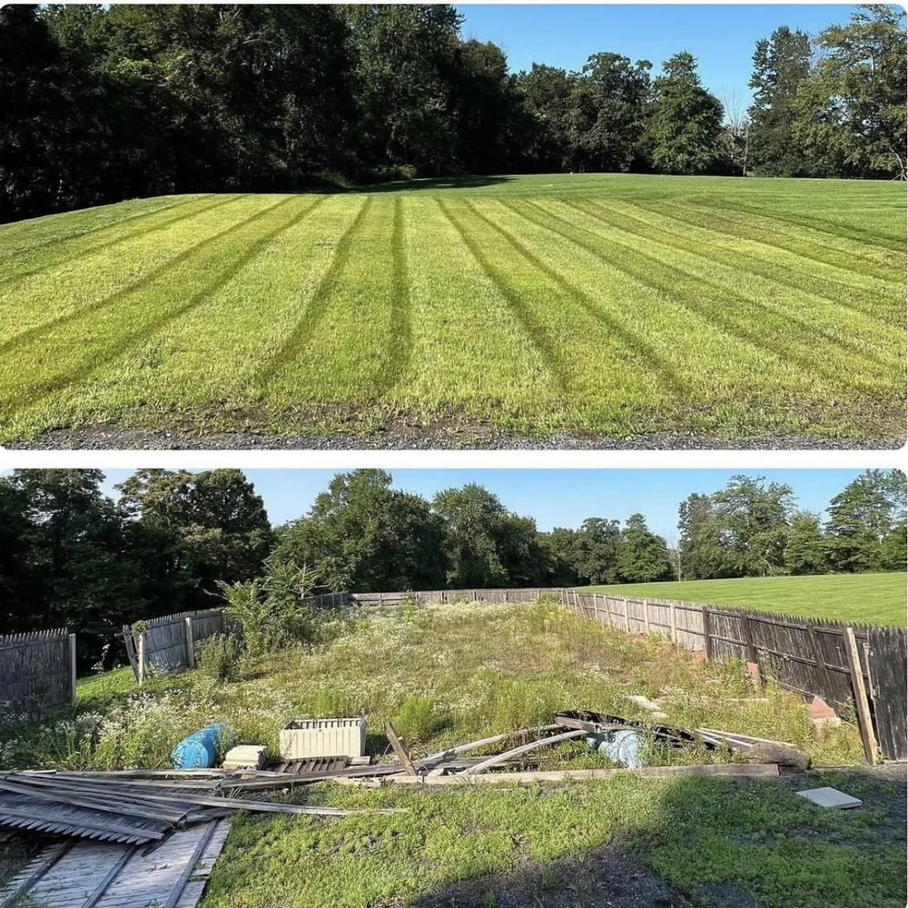 Affordable yard cleanup service in Chester, NY - BA Landscaping & Lawn Care