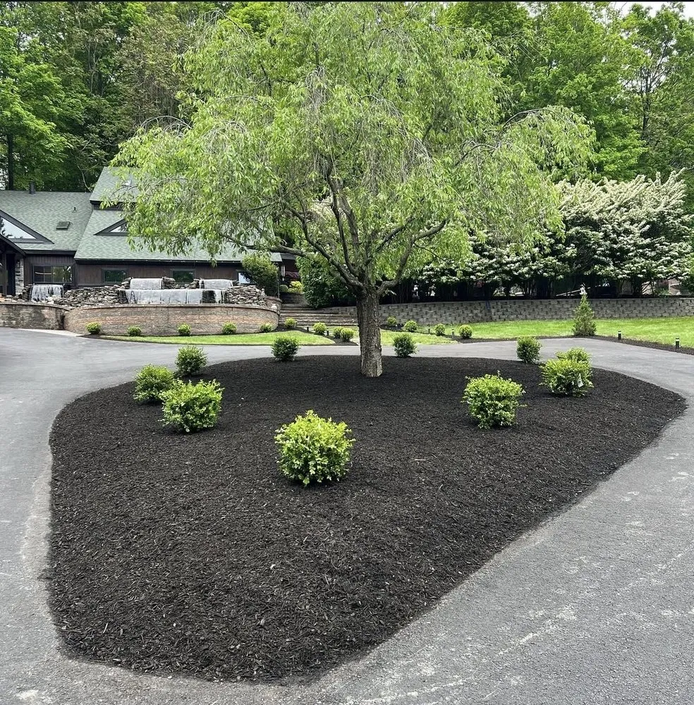 Top-rated landscape installation in Chester, NY - BA Landscaping & Lawn Care