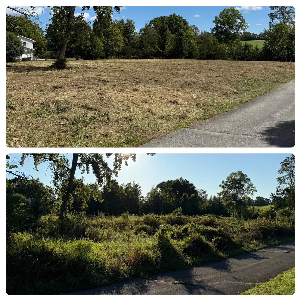 Reliable garden landscaping in Chester, NY by BA Landscaping & Lawn Care