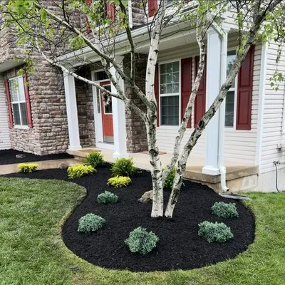 BA Landscaping & Lawn Care