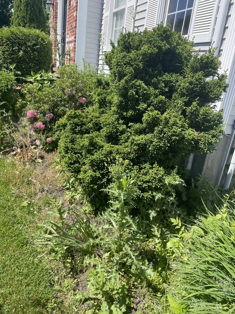 Affordable lawn mowing service experts serving Clinton, MA - B&A Landscaping