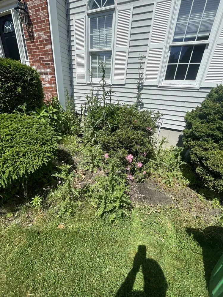 Professional yard maintenance in Clinton, MA by B&A Landscaping