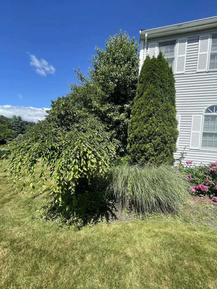 Local yard cleanup service in Clinton, MA - B&A Landscaping