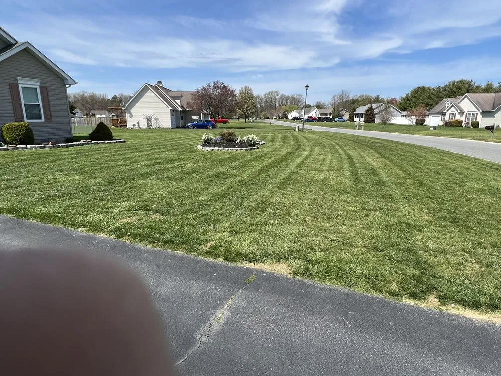 Top-rated landscape installation experts serving Magnolia, DE - BA Landscaping