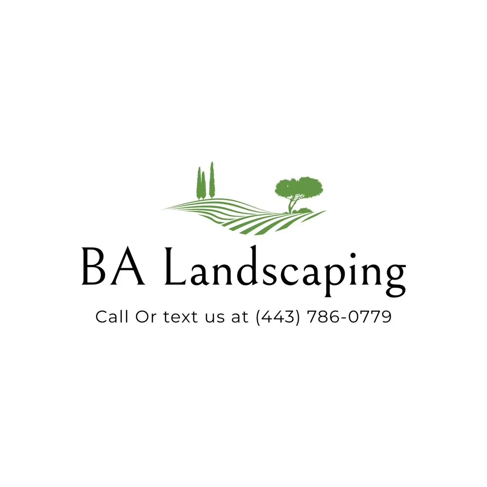 Trusted yard maintenance in Magnolia, DE by BA Landscaping