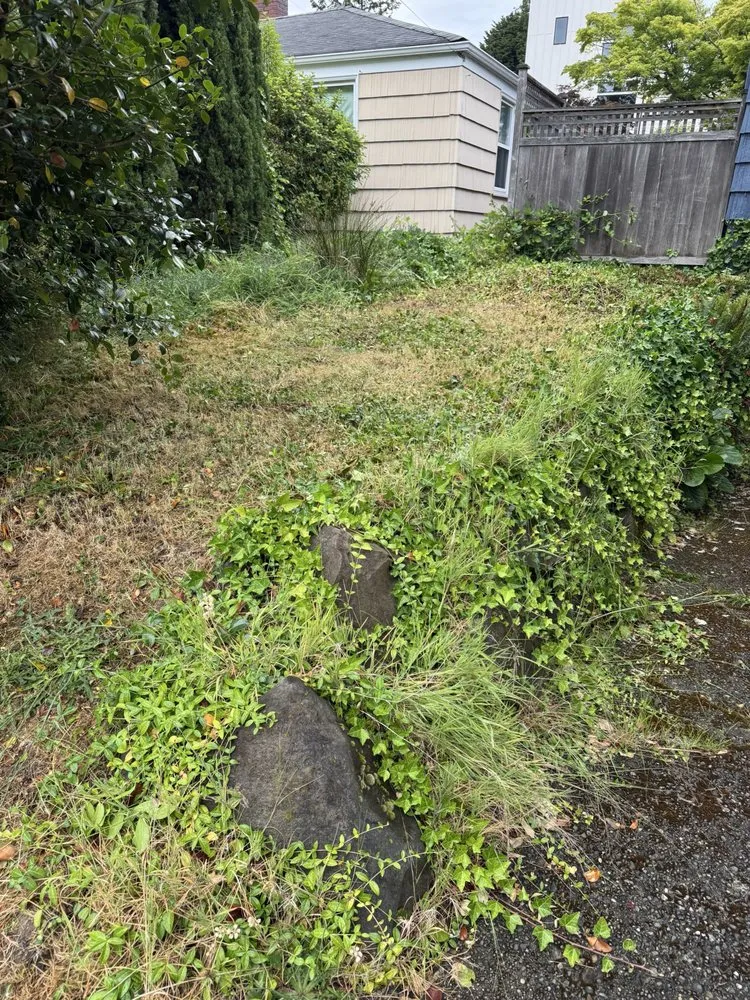 Local lawn care service experts serving Seattle, WA - B&A Landscaping