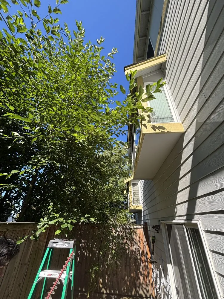 Expert lawn mowing service in Seattle, WA - B&A Landscaping