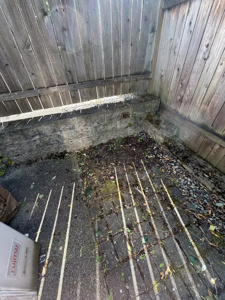 Trusted yard cleanup service in Seattle, WA - B&A Landscaping