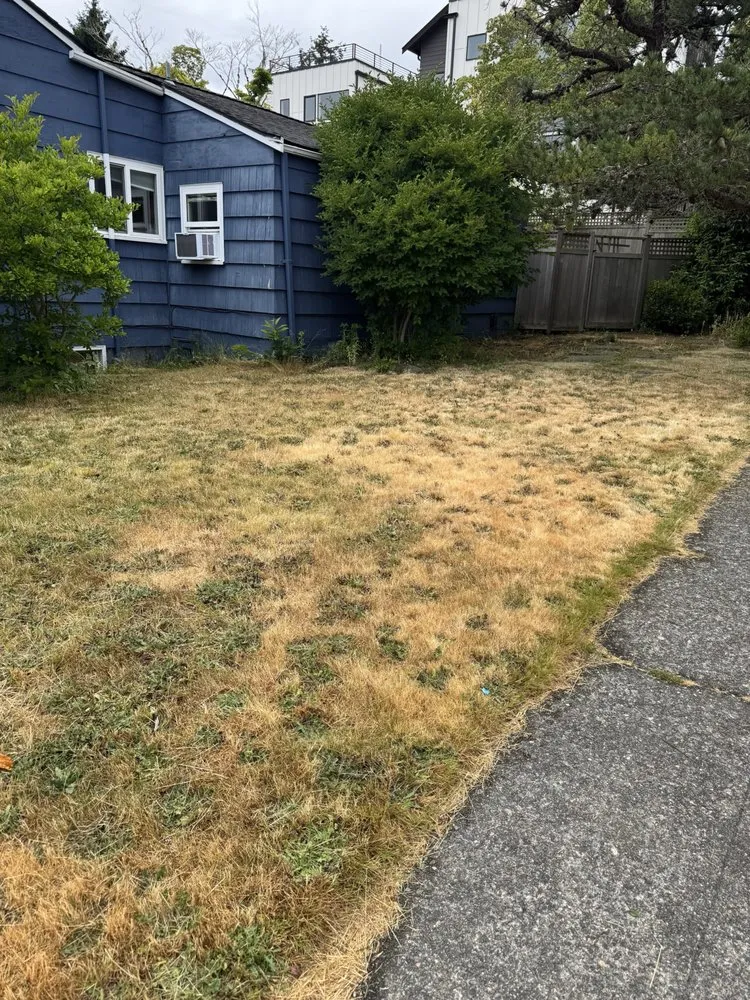 Affordable outdoor landscaping experts serving Seattle, WA - B&A Landscaping