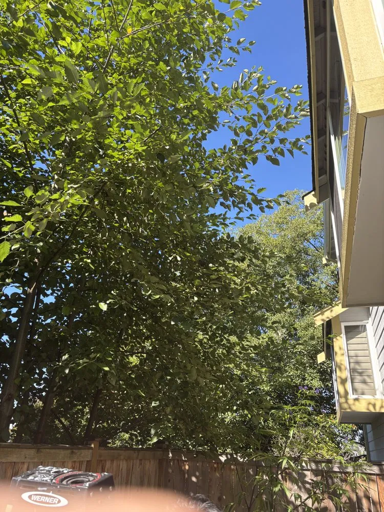 Custom garden landscaping experts serving Seattle, WA - B&A Landscaping