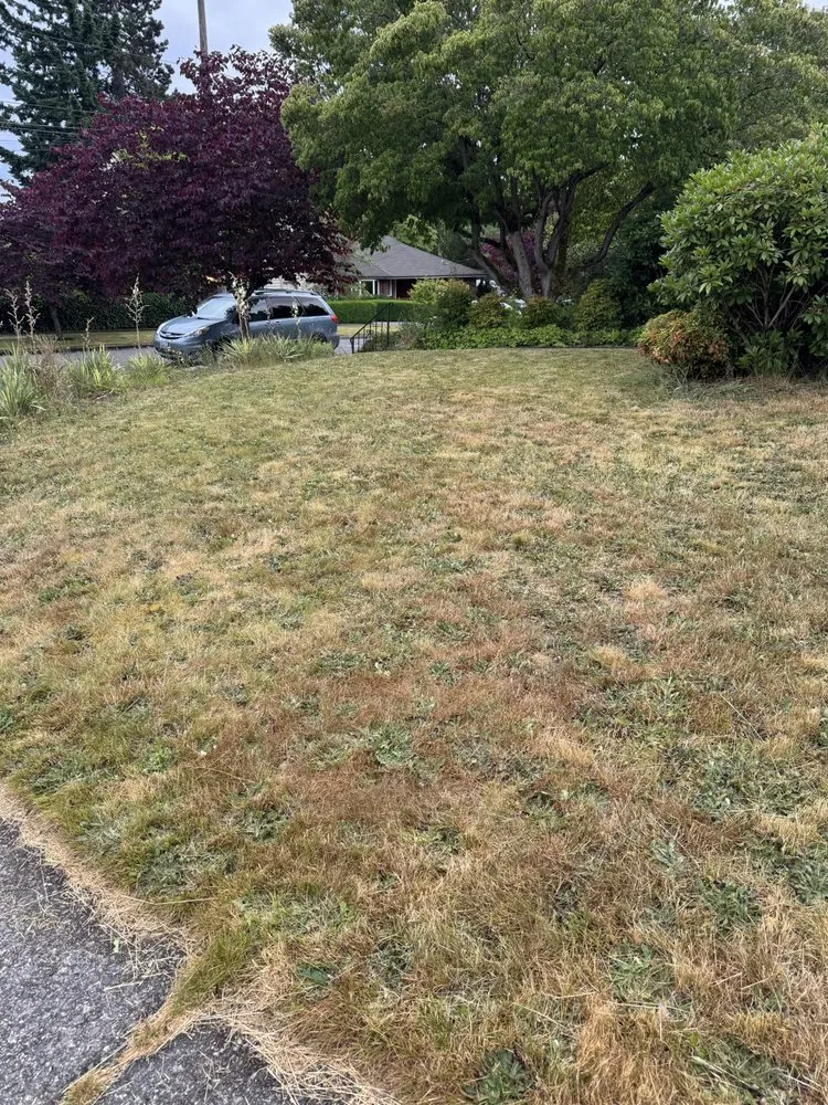 Top-rated landscaping services in Seattle, WA by B&A Landscaping