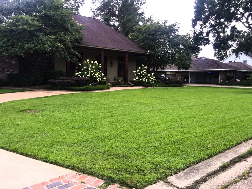 Reliable lawn mowing service experts serving Watson, LA - BA Services