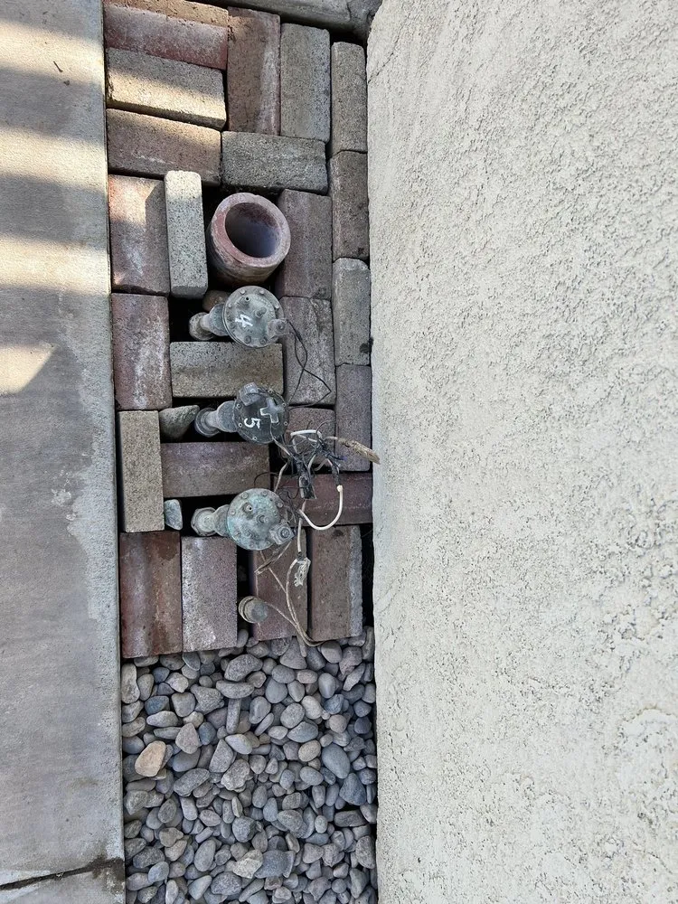 Professional yard maintenance in Los Angeles, CA by BA True Gardens