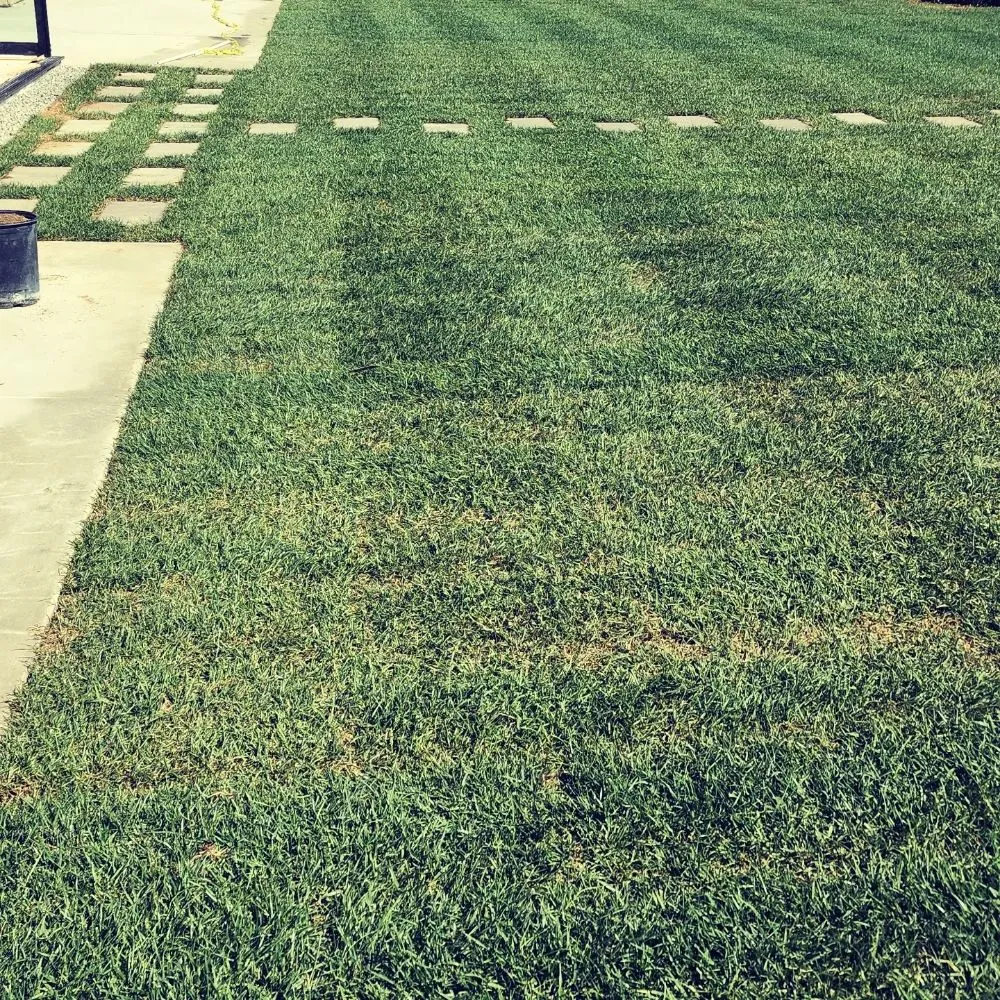 Top-rated lawn care service with custom design across Los Angeles, CA - BA True Gardens