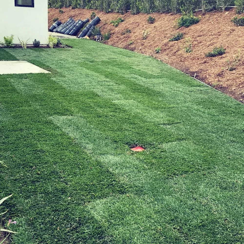 Affordable residential landscaping for beautiful yards in Los Angeles, CA by BA True Gardens