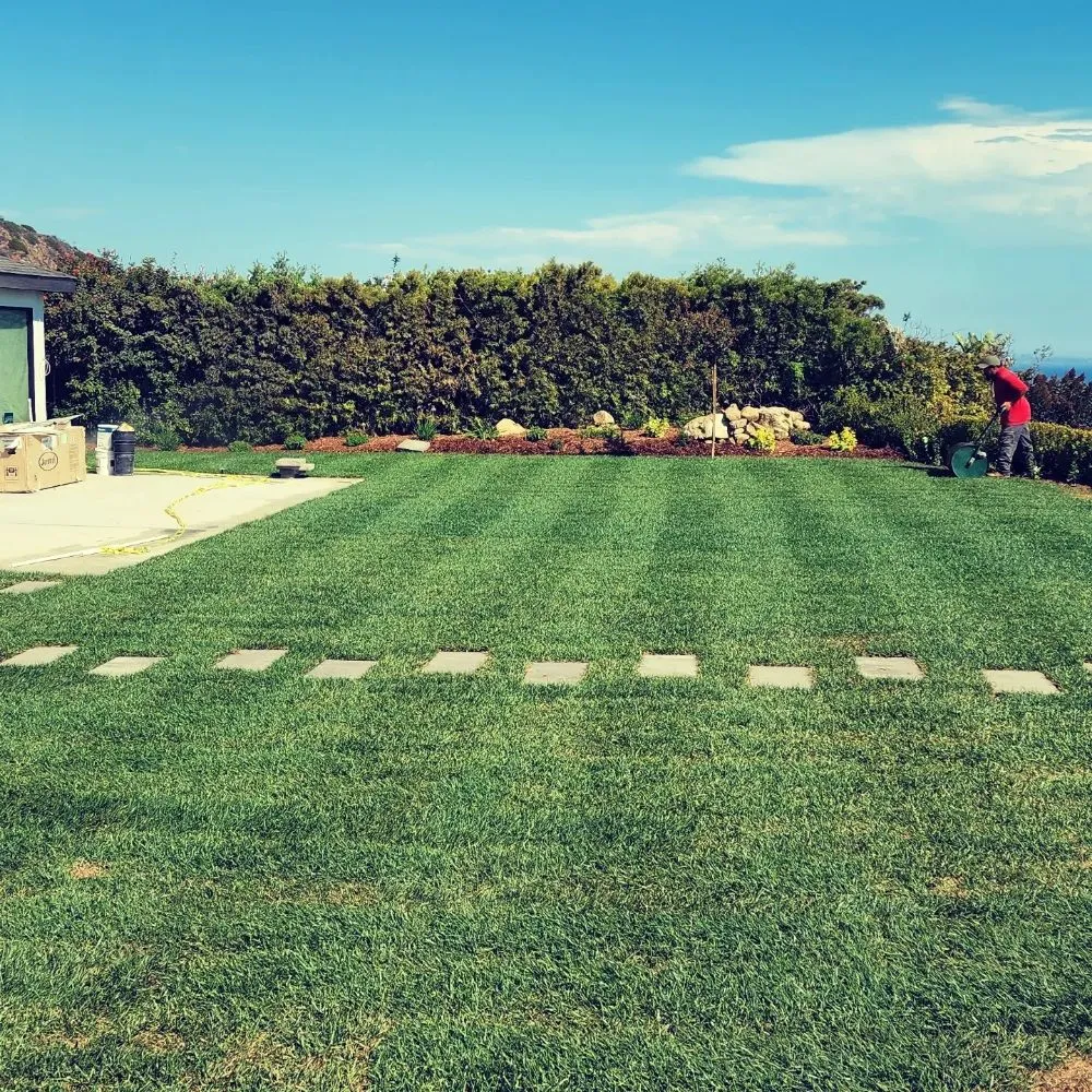 Professional lawn care service in Los Angeles, CA by BA True Gardens