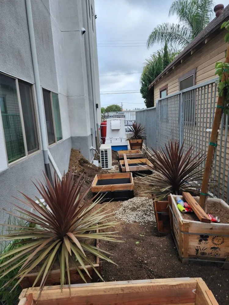 Professional landscaping services in Los Angeles, CA - BA True Gardens