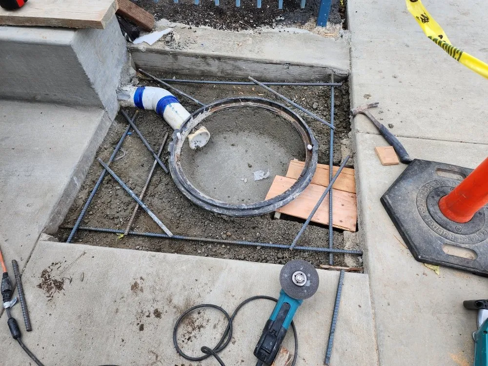 Affordable landscape installation experts serving Los Angeles, CA - BA True Gardens