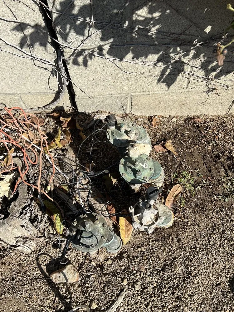 Trusted yard maintenance near you across Los Angeles, CA - BA True Gardens