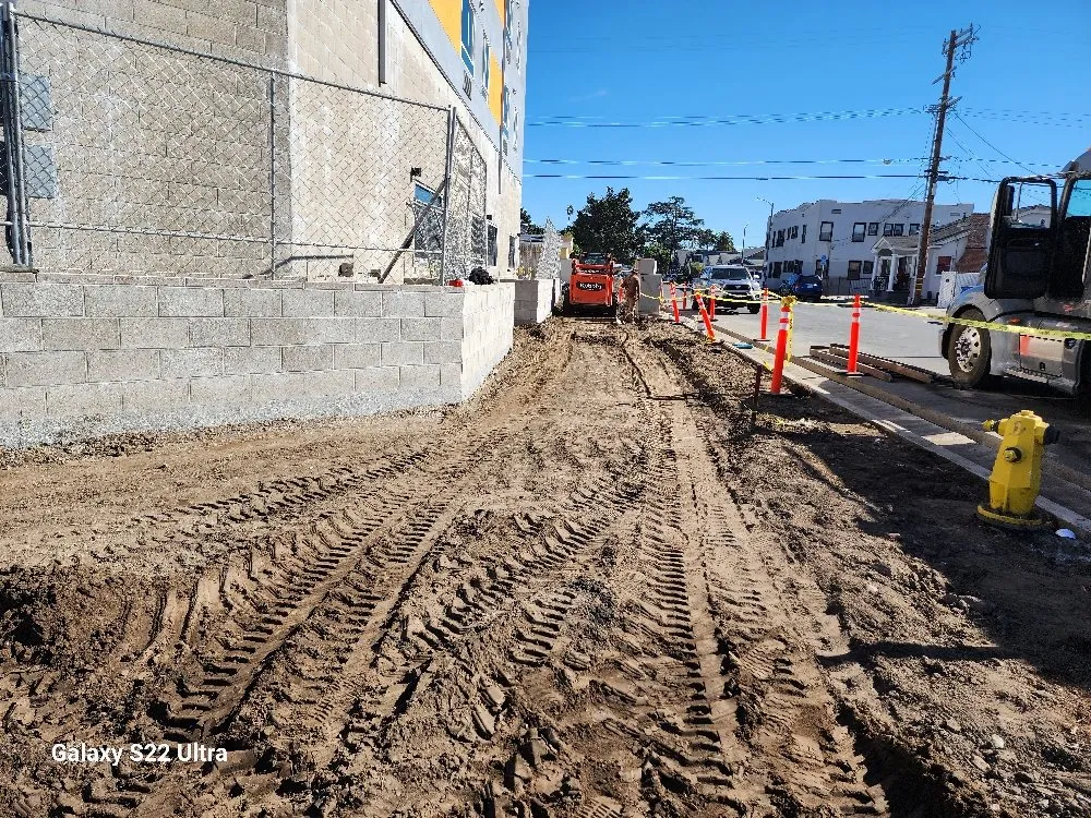 Professional residential landscaping for beautiful yards across Los Angeles, CA - BA True Gardens