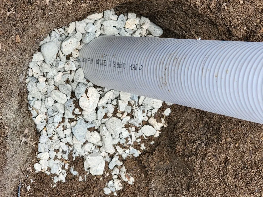 Affordable landscape installation experts serving Los Angeles, CA - BA True Gardens