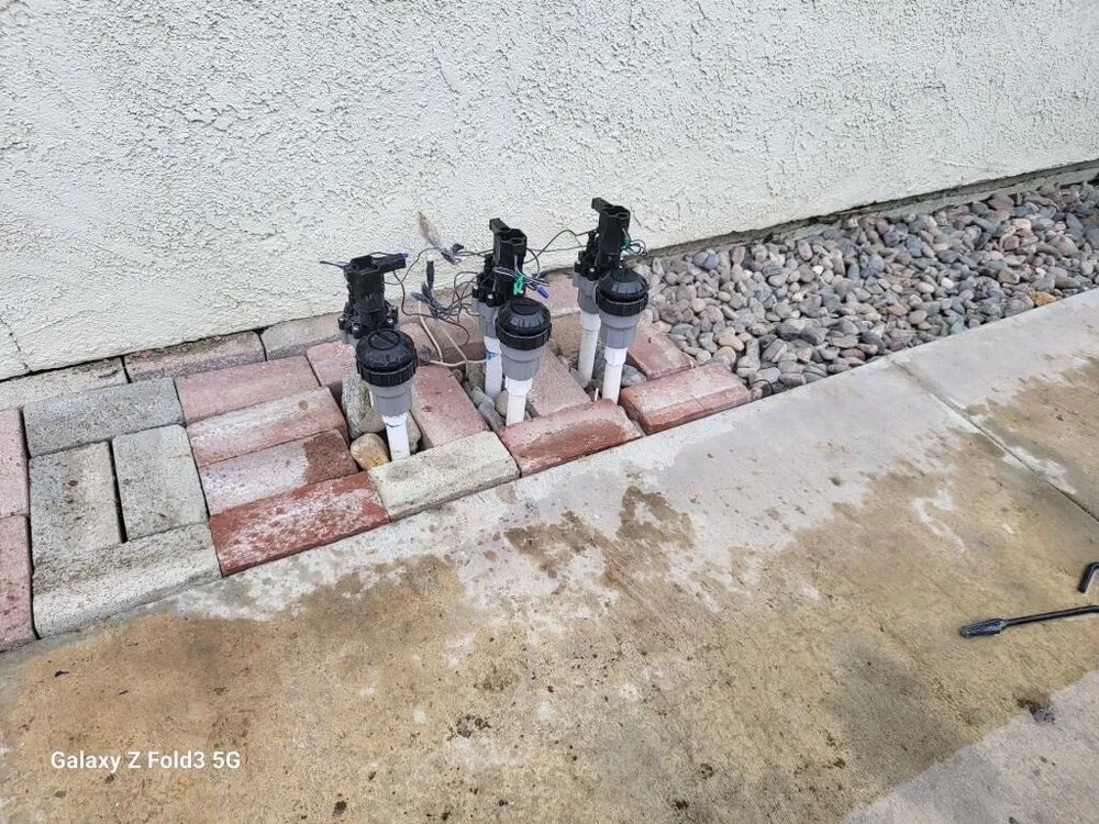 Trusted lawn care service in Los Angeles, CA - BA True Gardens