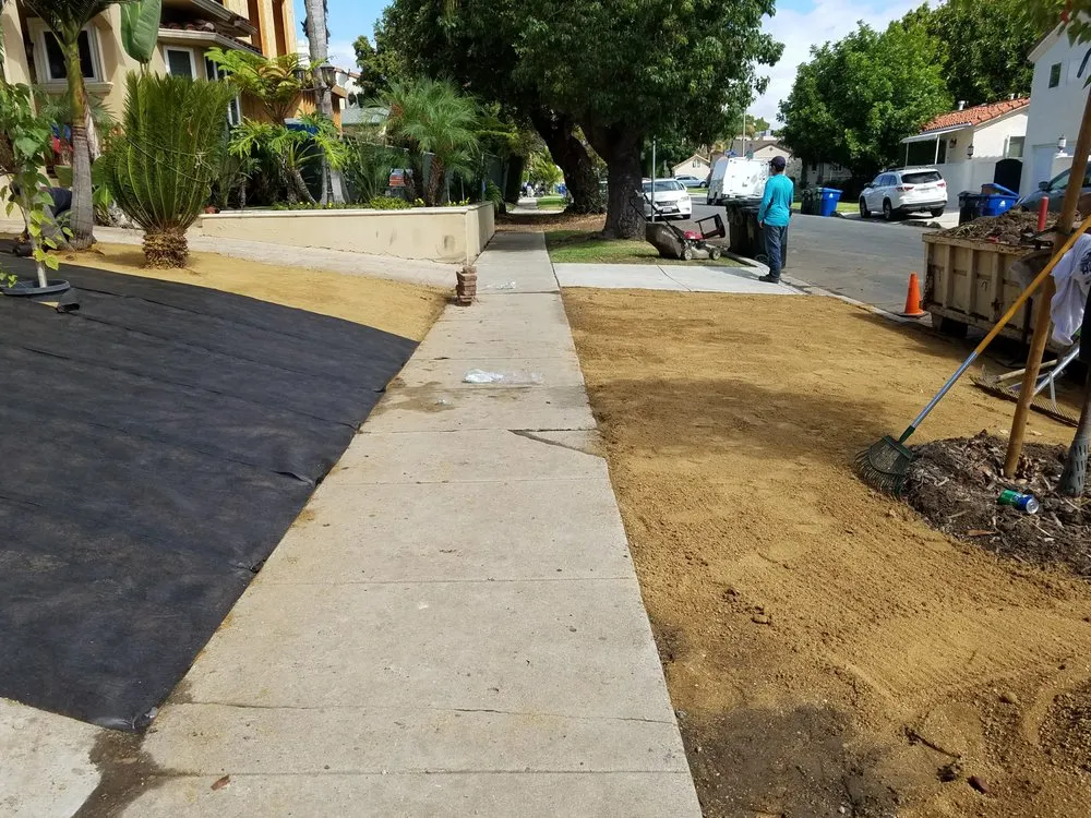 Local yard cleanup service in Los Angeles, CA - BA True Gardens