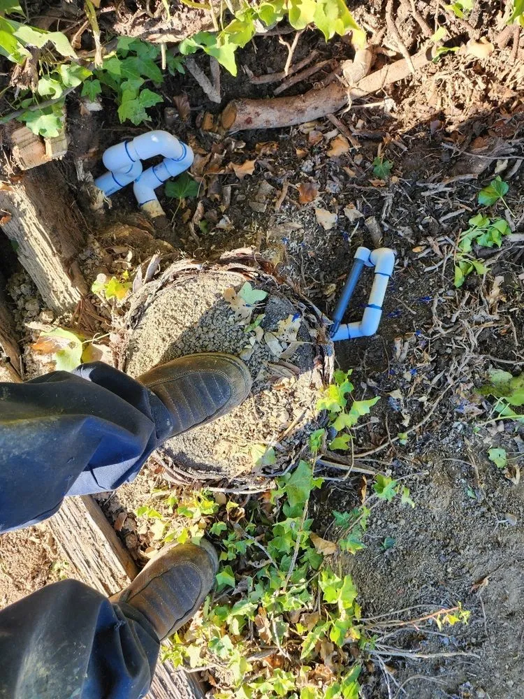 Professional lawn mowing service in Los Angeles, CA - BA True Gardens