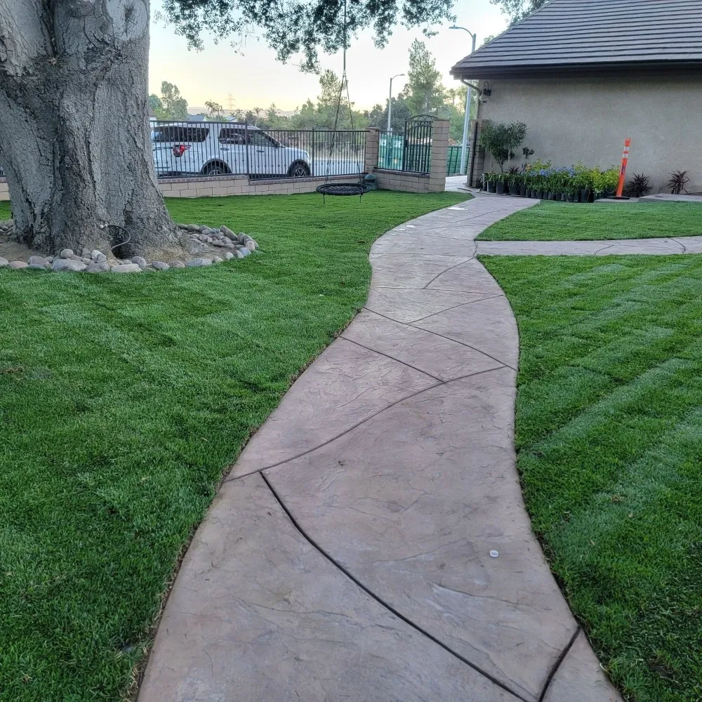 Expert residential landscaping for year-round maintenance in Los Angeles, CA by BA True Gardens