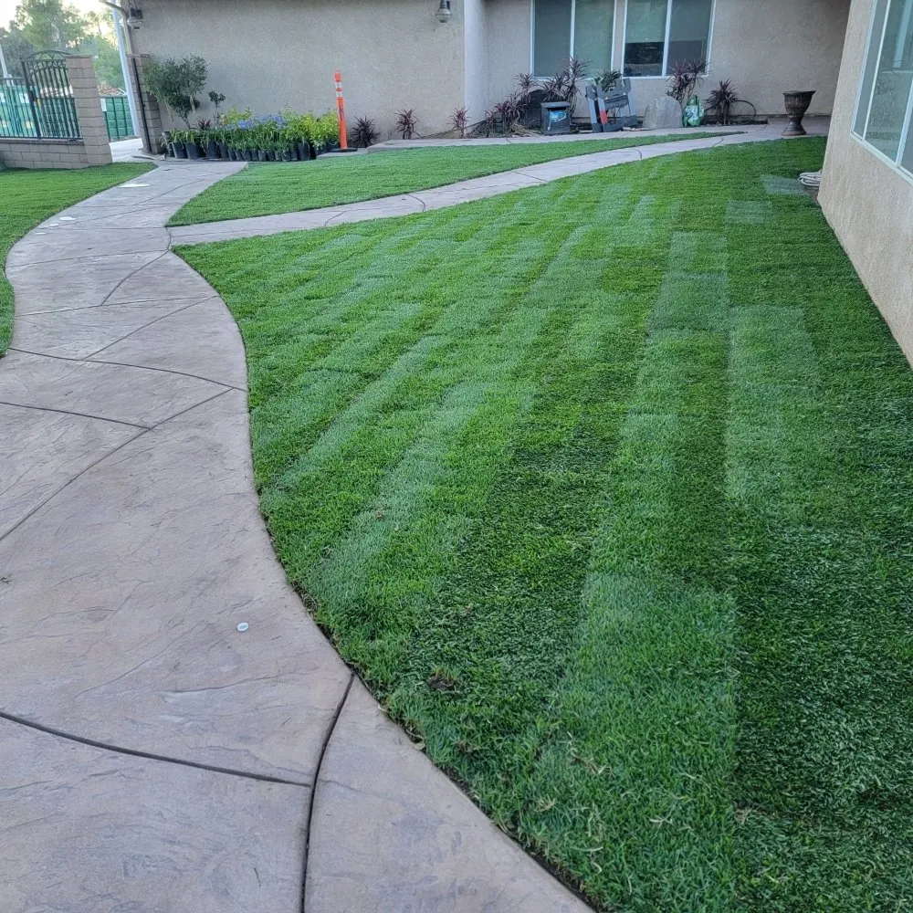 Affordable landscaping services in Los Angeles, CA by BA True Gardens