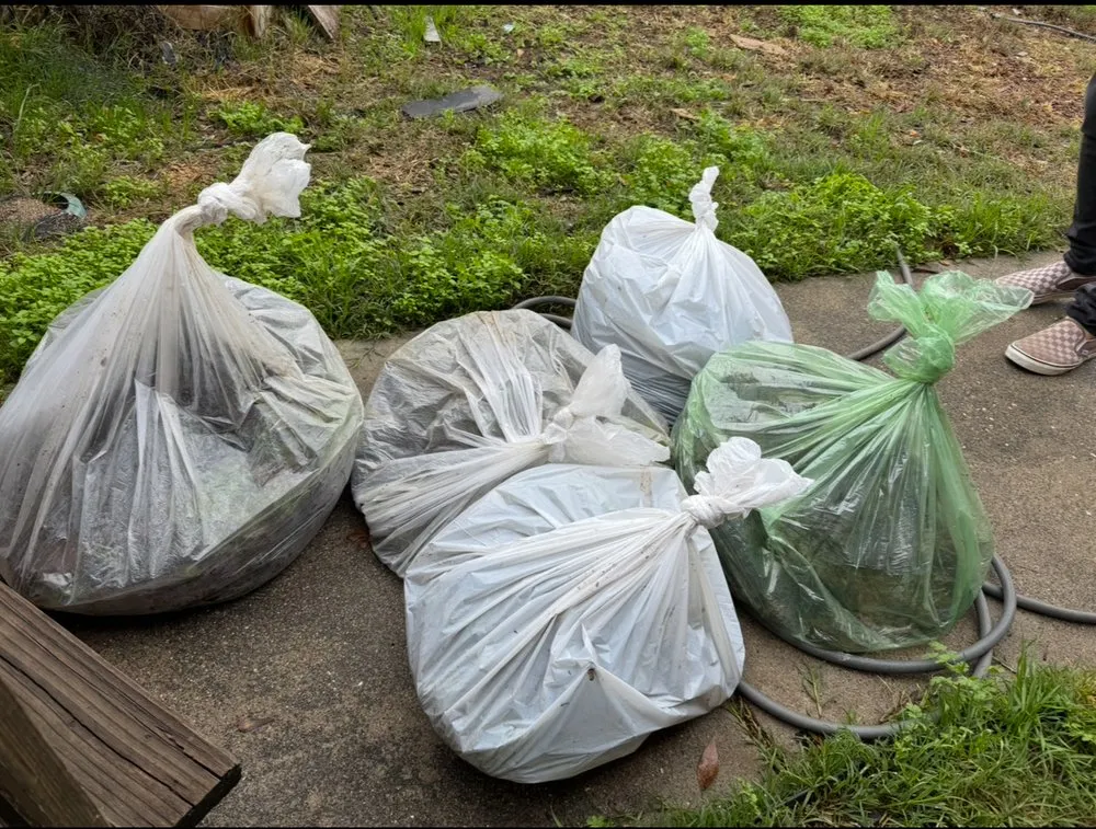 Trusted lawn mowing service in Sacramento, CA - BAAM Poop Be Gone