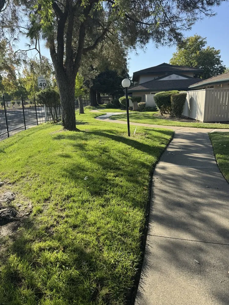 Custom lawn mowing service experts serving Sacramento, CA - BAAM Poop Be Gone