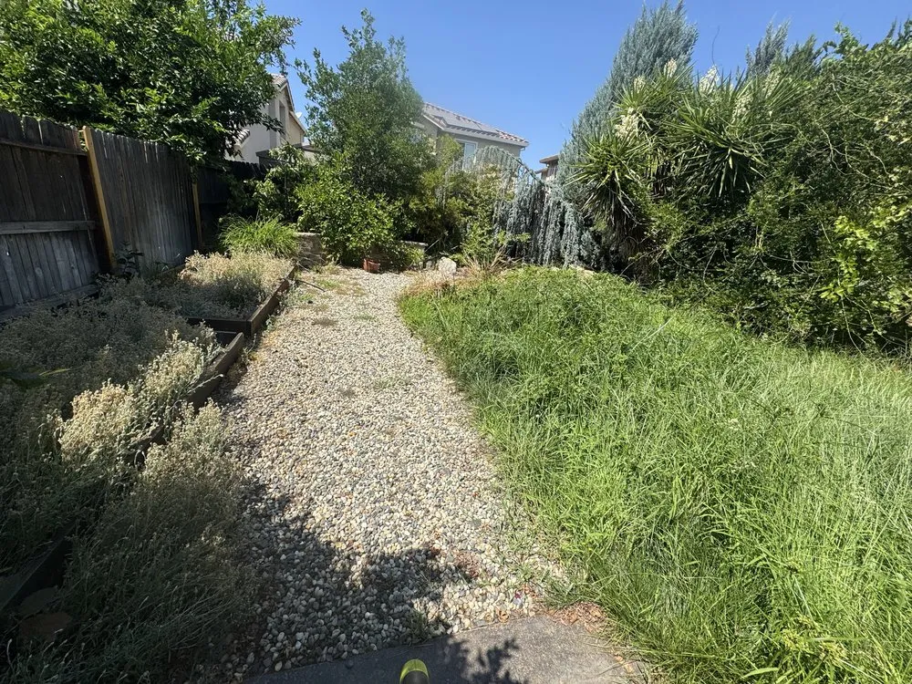 Local lawn mowing service in Sacramento, CA by BAAM Poop Be Gone