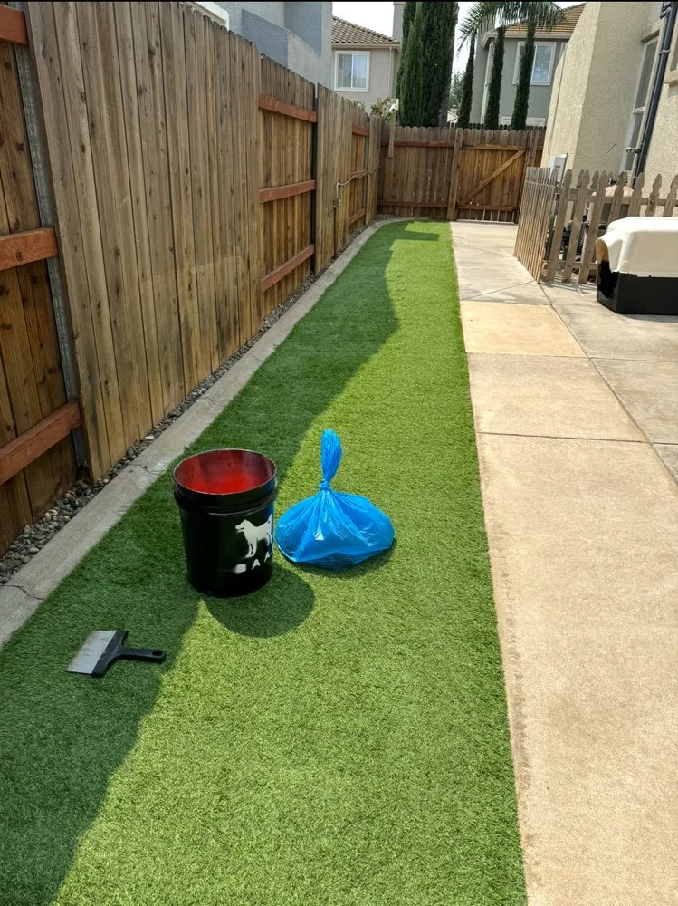 Professional landscape installation in Sacramento, CA by BAAM Poop Be Gone