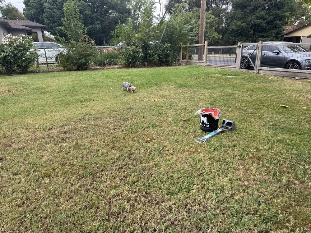 Professional yard maintenance for homes across Sacramento, CA - BAAM Poop Be Gone