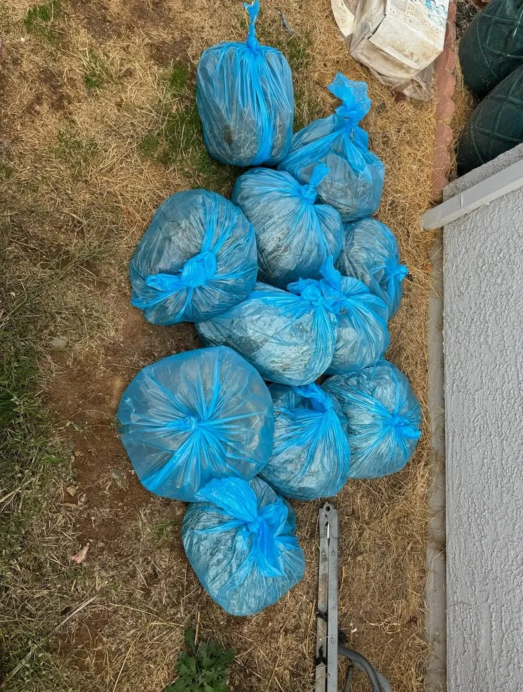 Professional landscape installation experts serving Sacramento, CA - BAAM Poop Be Gone