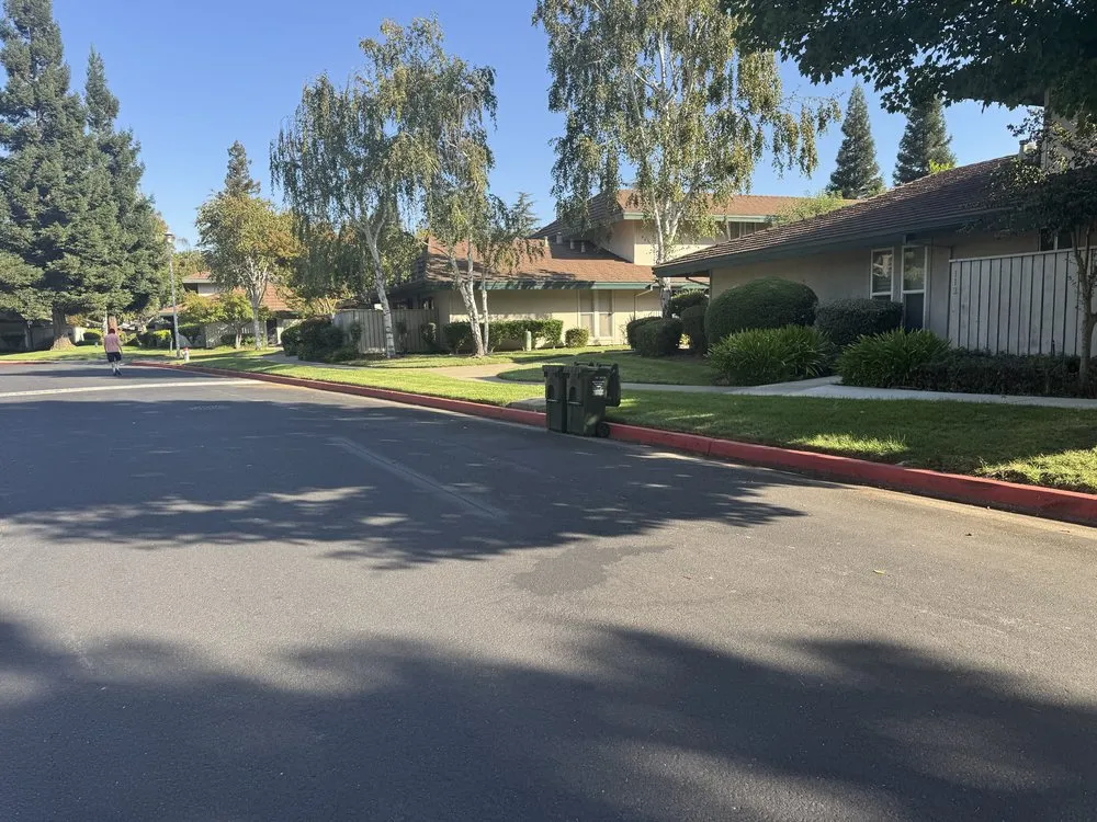 Expert yard cleanup service for homes across Sacramento, CA - BAAM Poop Be Gone